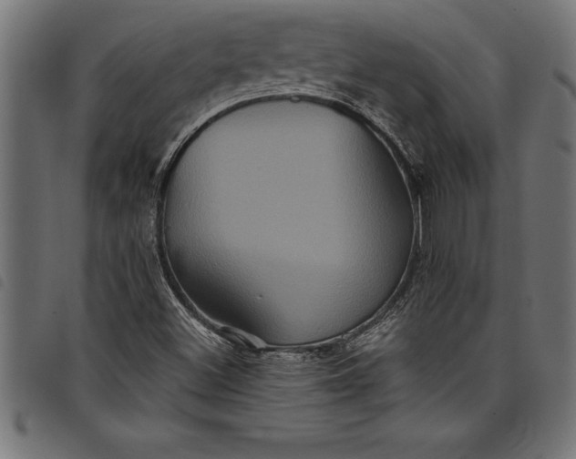 X0000097891500200803281234