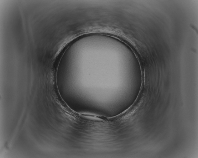 X0000097891501200803281234