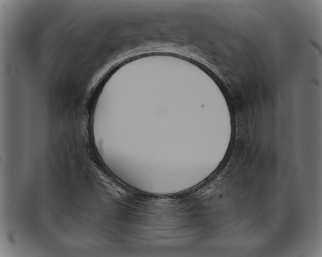 X0000097891502200803281234