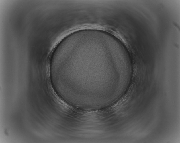 X0000097891504200803281234