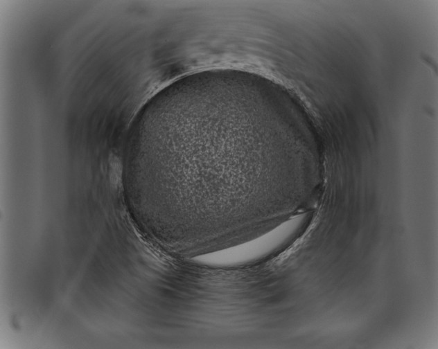 X0000097891505200803281234