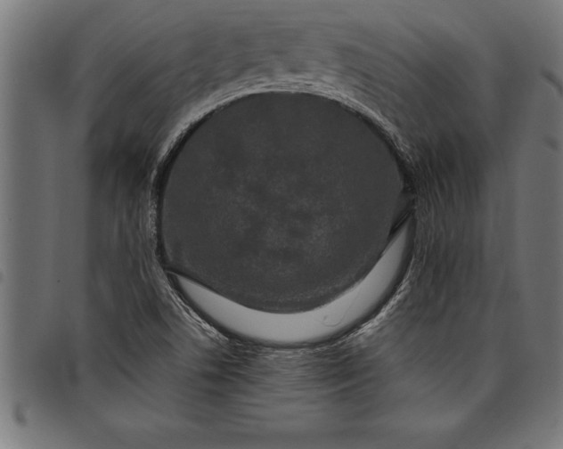 X0000097891506200803281234