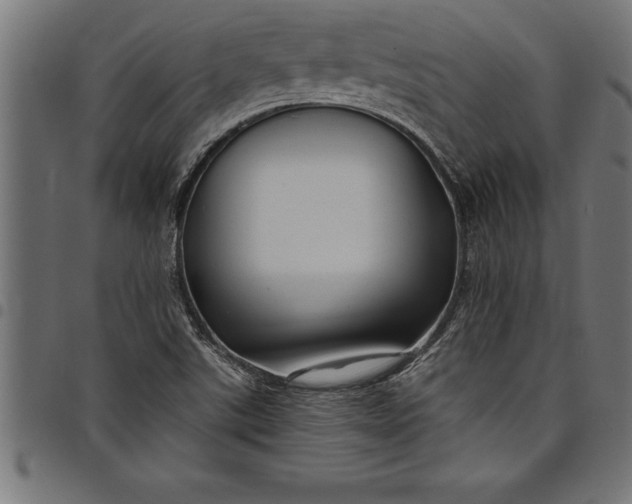 X0000097891507200803281234