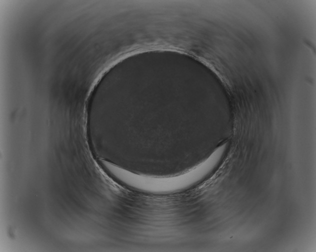 X0000097891508200803281234