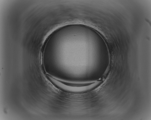 X0000097891510200803281234