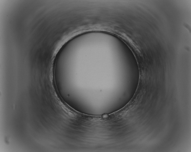 X0000097891512200803281234