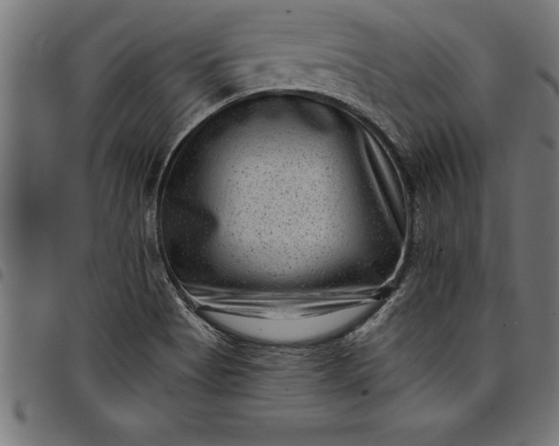 X0000097891513200803281234