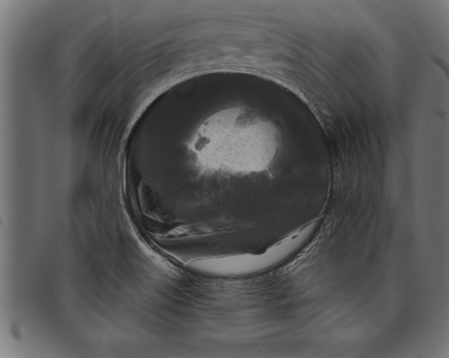 X0000097891515200803281234