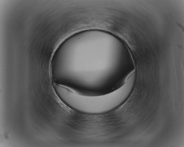 X0000097891516200803281234