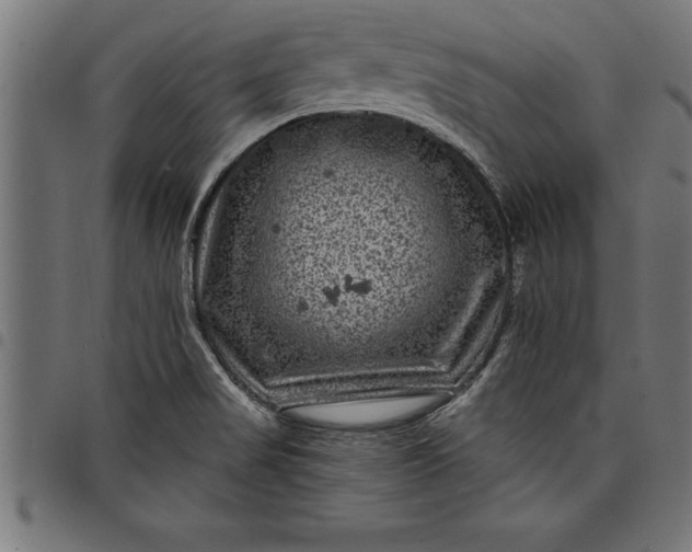 X0000097891517200803281234