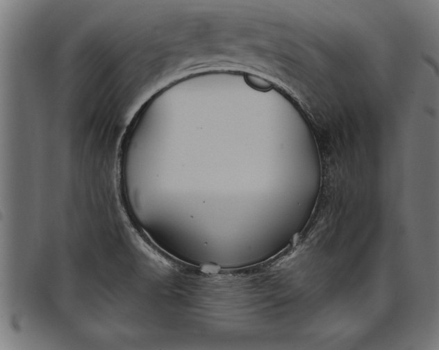 X0000097891518200803281234