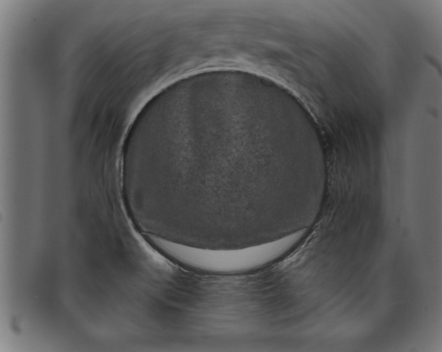 X0000097891519200803281234