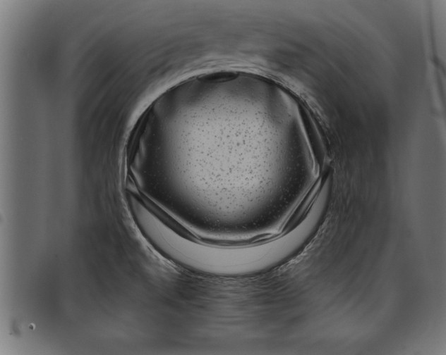 X0000097891520200803281234