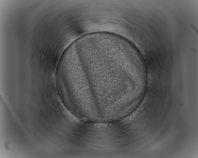 X0000097891521200803281234