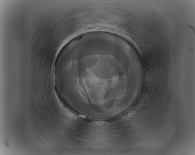 X0000097891522200803281234