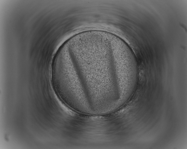 X0000097891523200803281234