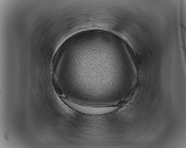 X0000097891524200803281234