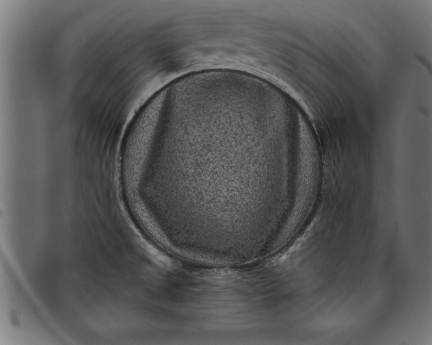 X0000097891525200803281234