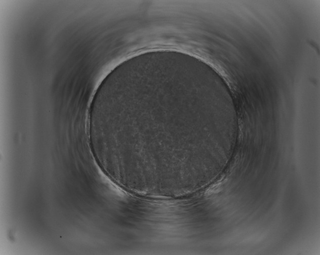 X0000097891527200803281234