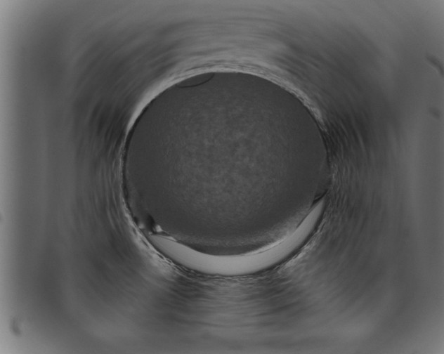 X0000097891530200803281234