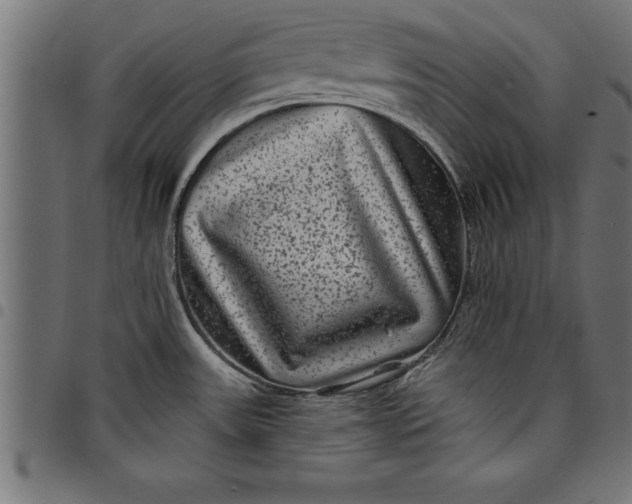 X0000097891531200803281234