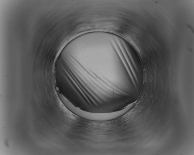 X0000097891532200803281234