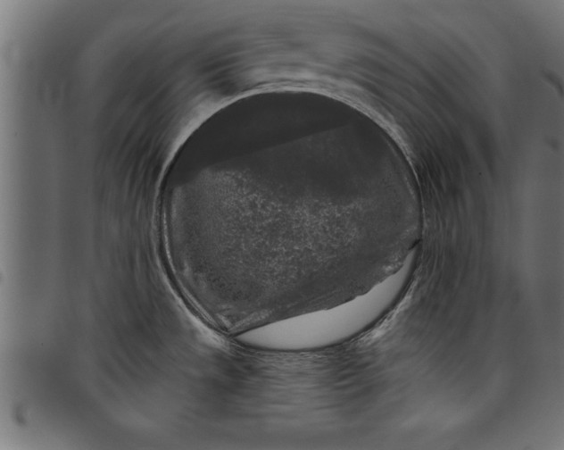 X0000097891533200803281234