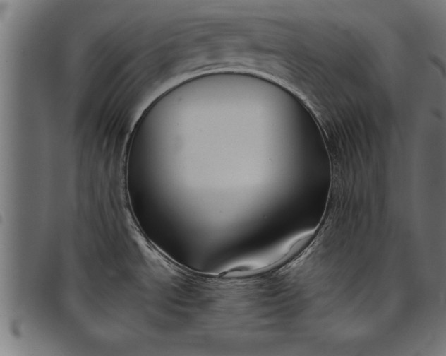 X0000097891534200803281234