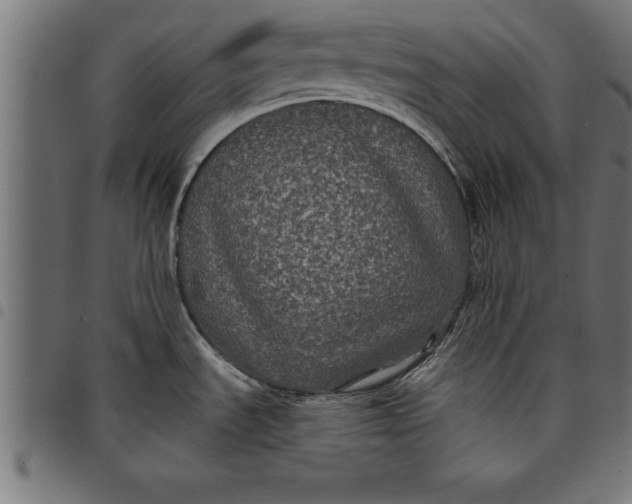 X0000097891535200803281235