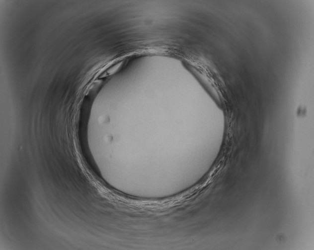 X0000097890001200804041321