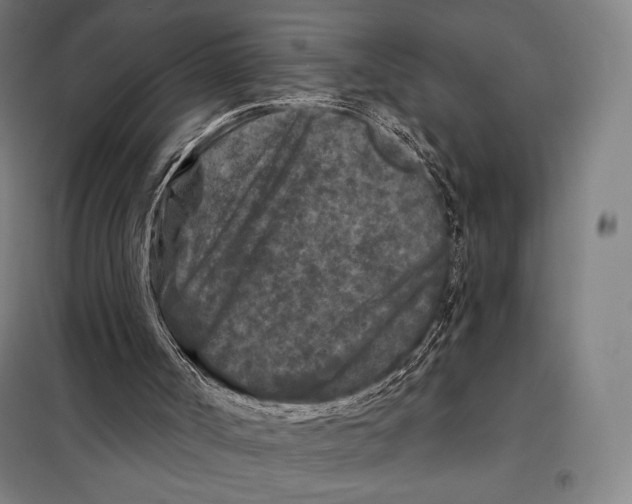 X0000097890002200804041321