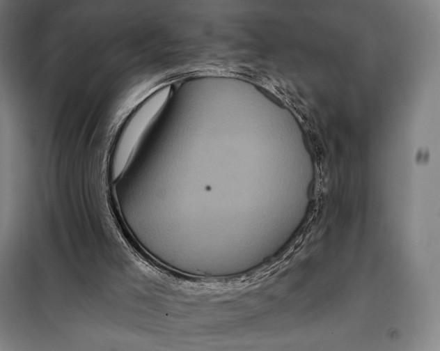 X0000097890005200804041321