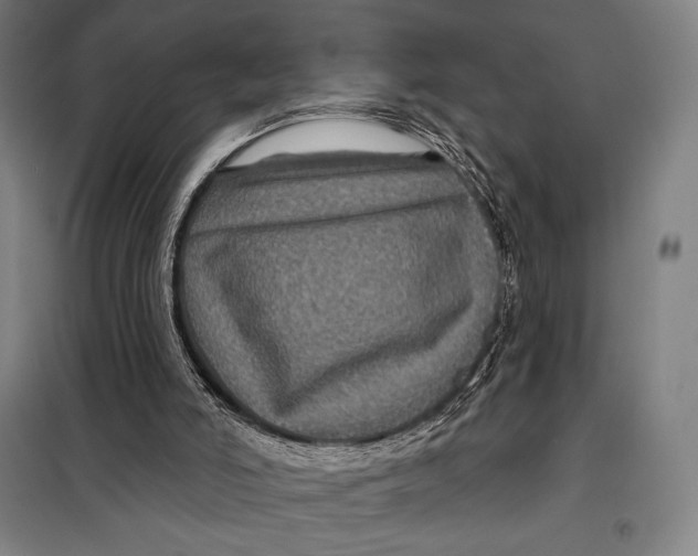 X0000097890006200804041321