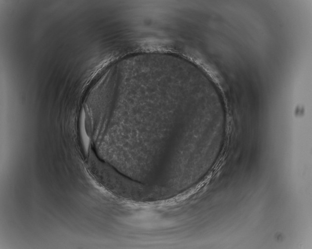 X0000097890009200804041321