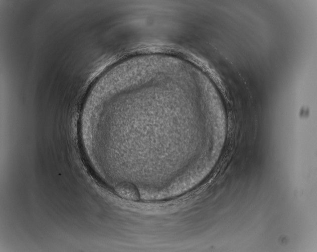 X0000097890010200804041321