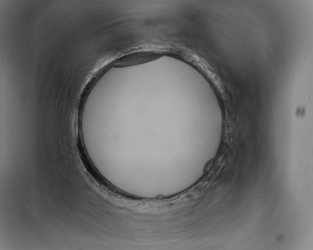 X0000097890011200804041321