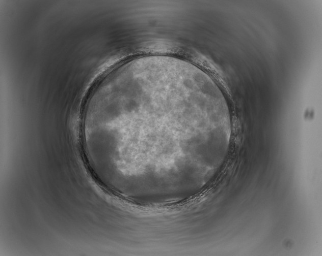 X0000097890012200804041321