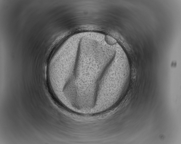 X0000097890014200804041321