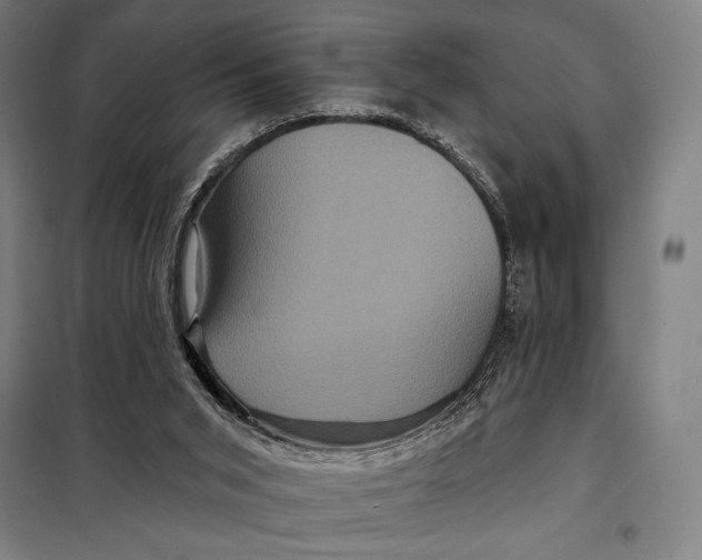 X0000097890015200804041321