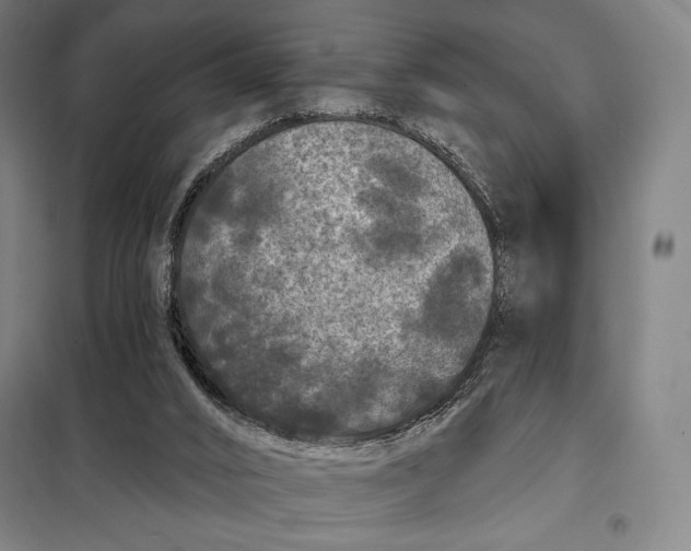 X0000097890016200804041321