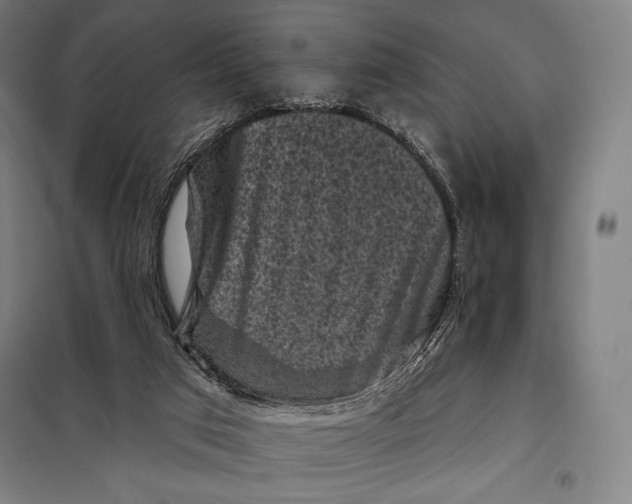 X0000097890017200804041321