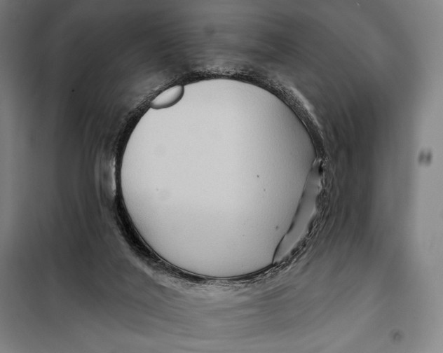 X0000097890020200804041321