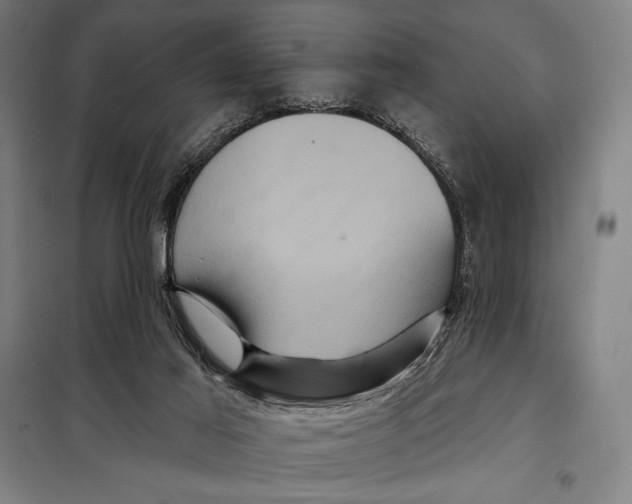 X0000097890021200804041321