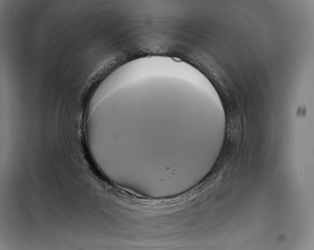 X0000097890023200804041321