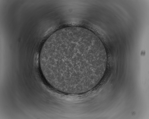 X0000097890024200804041321