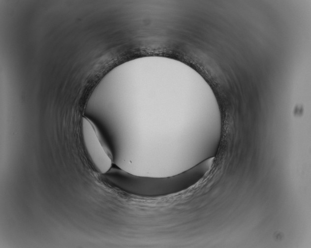 X0000097890025200804041321