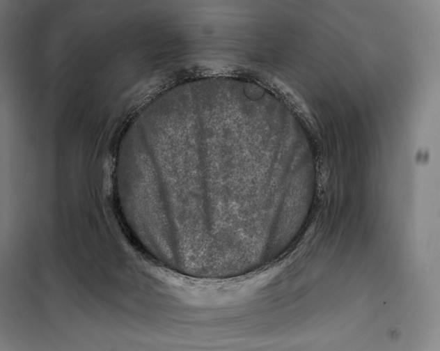 X0000097890026200804041321