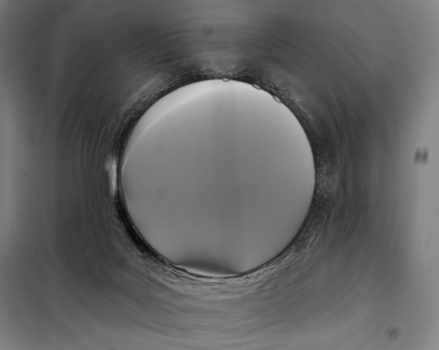 X0000097890027200804041321