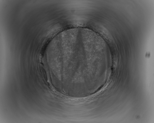 X0000097890029200804041321