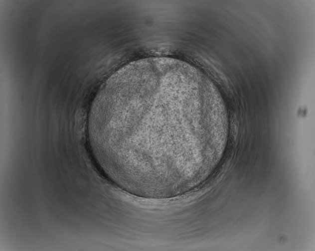 X0000097890030200804041321